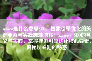 seoseo是什么意思SEO，搜索引擎优化的关键要素与实践蜘蛛池TG：zzcseo，SEO的含义与实践，掌握搜索引擎优化核心要素，揭秘蜘蛛池的秘密