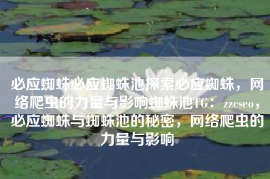 必应蜘蛛必应蜘蛛池探索必应蜘蛛，网络爬虫的力量与影响蜘蛛池TG：zzcseo，必应蜘蛛与蜘蛛池的秘密，网络爬虫的力量与影响