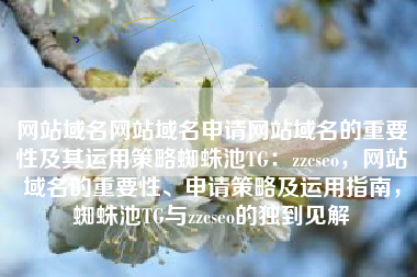 网站域名网站域名申请网站域名的重要性及其运用策略蜘蛛池TG：zzcseo，网站域名的重要性、申请策略及运用指南，蜘蛛池TG与zzcseo的独到见解