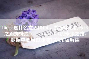 IDCidc是什么意思啊IDC，数据中心的未来之路蜘蛛池TG：zzcseo，IDC的未来之路，数据中心与蜘蛛池TG的角色解读