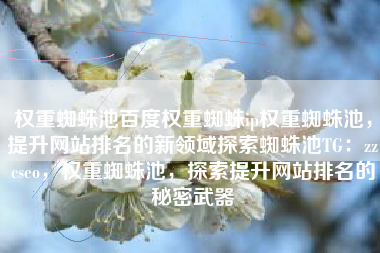 权重蜘蛛池百度权重蜘蛛ip权重蜘蛛池，提升网站排名的新领域探索蜘蛛池TG：zzcseo，权重蜘蛛池，探索提升网站排名的秘密武器