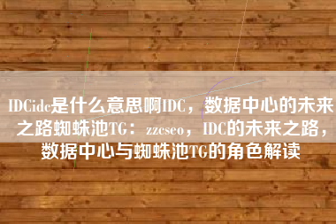 IDCidc是什么意思啊IDC，数据中心的未来之路蜘蛛池TG：zzcseo，IDC的未来之路，数据中心与蜘蛛池TG的角色解读