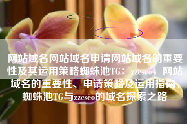网站域名网站域名申请网站域名的重要性及其运用策略蜘蛛池TG：zzcseo，网站域名的重要性、申请策略及运用指南，蜘蛛池TG与zzcseo的域名探索之路