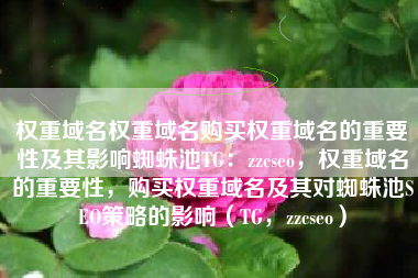 权重域名权重域名购买权重域名的重要性及其影响蜘蛛池TG：zzcseo，权重域名的重要性，购买权重域名及其对蜘蛛池SEO策略的影响（TG，zzcseo）