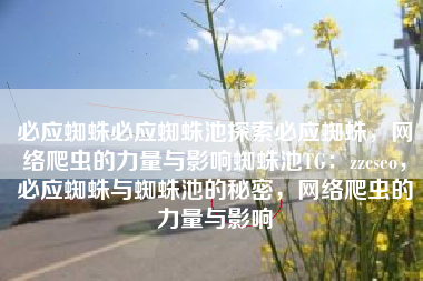 必应蜘蛛必应蜘蛛池探索必应蜘蛛，网络爬虫的力量与影响蜘蛛池TG：zzcseo，必应蜘蛛与蜘蛛池的秘密，网络爬虫的力量与影响