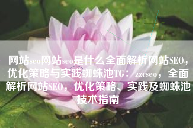 网站seo网站seo是什么全面解析网站SEO，优化策略与实践蜘蛛池TG：zzcseo，全面解析网站SEO，优化策略、实践及蜘蛛池技术指南