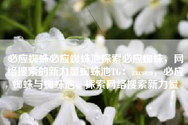 必应蜘蛛必应蜘蛛池探索必应蜘蛛，网络搜索的新力量蜘蛛池TG：zzcseo，必应蜘蛛与蜘蛛池，探索网络搜索新力量