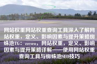 网站权重网站权重查询工具深入了解网站权重，定义、影响因素与提升策略蜘蛛池TG：zzcseo，网站权重，定义、影响因素与提升策略详解——使用网站权重查询工具与蜘蛛池SEO技巧