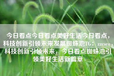 今日看点今日看点美好生活今日看点，科技创新引领未来发展蜘蛛池TG：zzcseo，科技创新引领未来，今日看点蜘蛛池引领美好生活新篇章