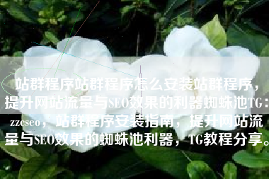站群程序站群程序怎么安装站群程序，提升网站流量与SEO效果的利器蜘蛛池TG：zzcseo，站群程序安装指南，提升网站流量与SEO效果的蜘蛛池利器，TG教程分享。