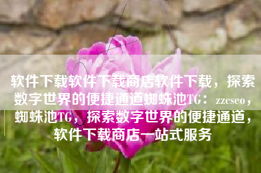 软件下载软件下载商店软件下载，探索数字世界的便捷通道蜘蛛池TG：zzcseo，蜘蛛池TG，探索数字世界的便捷通道，软件下载商店一站式服务