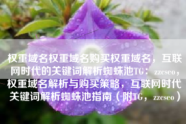 权重域名权重域名购买权重域名，互联网时代的关键词解析蜘蛛池TG：zzcseo，权重域名解析与购买策略，互联网时代关键词解析蜘蛛池指南（附TG，zzcseo）