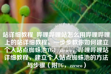 站详细教程_哔哩哔哩站怎么用哔哩哔哩上的站详细教程，一步步教你如何建立个人站点蜘蛛池TG：zzcseo，哔哩哔哩站详细教程，建立个人站点蜘蛛池的方法与步骤（附TG，zzcseo）