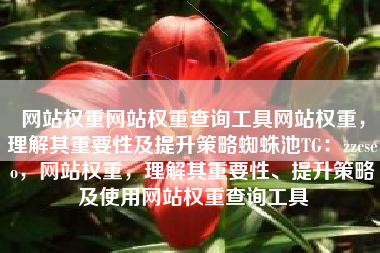 网站权重网站权重查询工具网站权重，理解其重要性及提升策略蜘蛛池TG：zzcseo，网站权重，理解其重要性、提升策略及使用网站权重查询工具