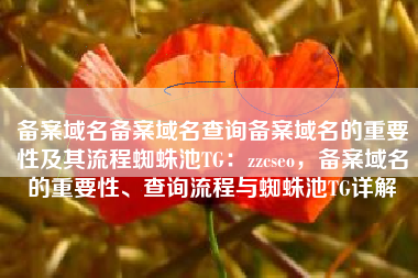 备案域名备案域名查询备案域名的重要性及其流程蜘蛛池TG：zzcseo，备案域名的重要性、查询流程与蜘蛛池TG详解