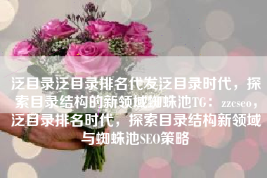 泛目录泛目录排名代发泛目录时代，探索目录结构的新领域蜘蛛池TG：zzcseo，泛目录排名时代，探索目录结构新领域与蜘蛛池SEO策略