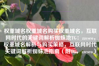 权重域名权重域名购买权重域名，互联网时代的关键词解析蜘蛛池TG：zzcseo，权重域名解析与购买策略，互联网时代关键词解析蜘蛛池指南（附TG，zzcseo）