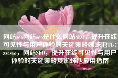 网站seo网站seo是什么网站SEO，提升在线可见性与用户体验的关键策略蜘蛛池TG：zzcseo，网站SEO，提升在线可见性与用户体验的关键策略及蜘蛛池应用指南