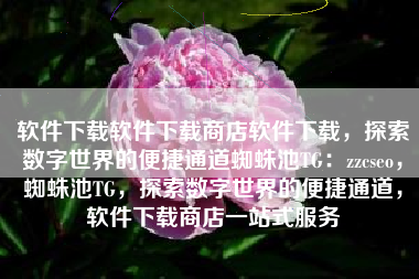 软件下载软件下载商店软件下载，探索数字世界的便捷通道蜘蛛池TG：zzcseo，蜘蛛池TG，探索数字世界的便捷通道，软件下载商店一站式服务