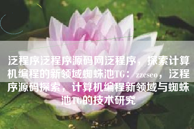 泛程序泛程序源码网泛程序，探索计算机编程的新领域蜘蛛池TG：zzcseo，泛程序源码探索，计算机编程新领域与蜘蛛池TG的技术研究