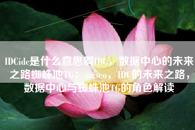 IDCidc是什么意思啊IDC，数据中心的未来之路蜘蛛池TG：zzcseo，IDC的未来之路，数据中心与蜘蛛池TG的角色解读