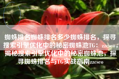 蜘蛛排名蜘蛛排名多少蜘蛛排名，探寻搜索引擎优化中的秘密蜘蛛池TG：zzcseo，揭秘搜索引擎优化中的秘密蜘蛛池，探寻蜘蛛排名与TG实战指南zzcseo