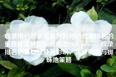 收录排名收录排名好的网站收录排名的重要性及其影响蜘蛛池TG：zzcseo，收录排名的重要性及其影响，优质网站与蜘蛛池策略