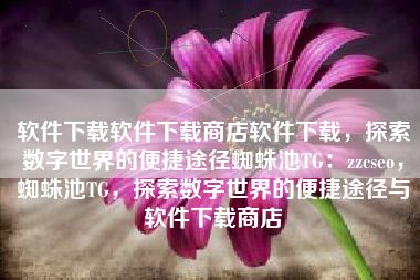软件下载软件下载商店软件下载，探索数字世界的便捷途径蜘蛛池TG：zzcseo，蜘蛛池TG，探索数字世界的便捷途径与软件下载商店