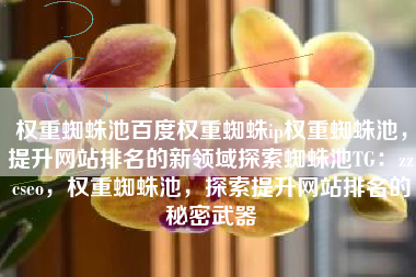 权重蜘蛛池百度权重蜘蛛ip权重蜘蛛池，提升网站排名的新领域探索蜘蛛池TG：zzcseo，权重蜘蛛池，探索提升网站排名的秘密武器