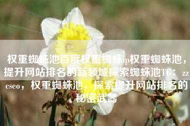 权重蜘蛛池百度权重蜘蛛ip权重蜘蛛池，提升网站排名的新领域探索蜘蛛池TG：zzcseo，权重蜘蛛池，探索提升网站排名的秘密武器