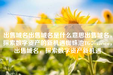 出售域名出售域名是什么意思出售域名，探索数字资产的新机遇蜘蛛池TG：zzcseo，出售域名，探索数字资产新机遇