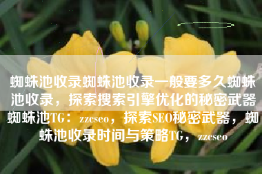 蜘蛛池收录蜘蛛池收录一般要多久蜘蛛池收录，探索搜索引擎优化的秘密武器蜘蛛池TG：zzcseo，探索SEO秘密武器，蜘蛛池收录时间与策略TG，zzcseo