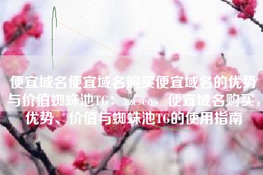 便宜域名便宜域名购买便宜域名的优势与价值蜘蛛池TG：zzcseo，便宜域名购买，优势、价值与蜘蛛池TG的使用指南