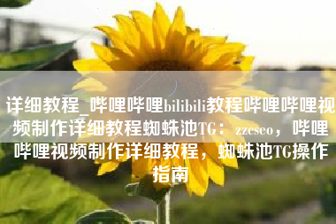详细教程_哔哩哔哩bilibili教程哔哩哔哩视频制作详细教程蜘蛛池TG：zzcseo，哔哩哔哩视频制作详细教程，蜘蛛池TG操作指南