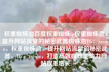 权重蜘蛛池百度权重蜘蛛ip权重蜘蛛池，提升网站流量的秘密武器蜘蛛池TG：zzcseo，权重蜘蛛池，提升网站流量的秘密武器，TG，zzcseo，打造高效蜘蛛池助力网站权重增长