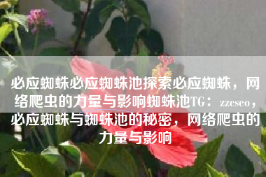 必应蜘蛛必应蜘蛛池探索必应蜘蛛，网络爬虫的力量与影响蜘蛛池TG：zzcseo，必应蜘蛛与蜘蛛池的秘密，网络爬虫的力量与影响