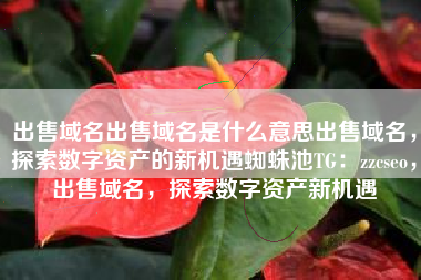 出售域名出售域名是什么意思出售域名，探索数字资产的新机遇蜘蛛池TG：zzcseo，出售域名，探索数字资产新机遇