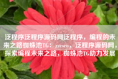 泛程序泛程序源码网泛程序，编程的未来之路蜘蛛池TG：zzcseo，泛程序源码网，探索编程未来之路，蜘蛛池TG助力发展