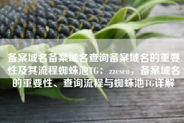 备案域名备案域名查询备案域名的重要性及其流程蜘蛛池TG：zzcseo，备案域名的重要性、查询流程与蜘蛛池TG详解