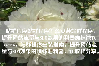 站群程序站群程序怎么安装站群程序，提升网站流量与SEO效果的利器蜘蛛池TG：zzcseo，站群程序安装指南，提升网站流量与SEO效果的蜘蛛池利器，TG教程分享。