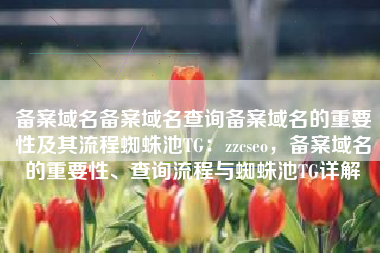 备案域名备案域名查询备案域名的重要性及其流程蜘蛛池TG：zzcseo，备案域名的重要性、查询流程与蜘蛛池TG详解