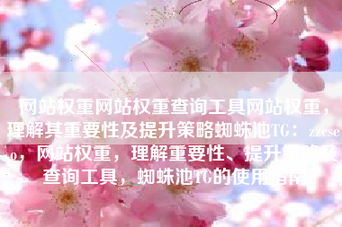 网站权重网站权重查询工具网站权重，理解其重要性及提升策略蜘蛛池TG：zzcseo，网站权重，理解重要性、提升策略及查询工具，蜘蛛池TG的使用指南