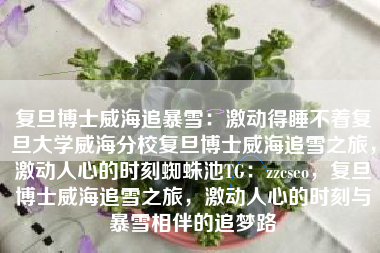 复旦博士威海追暴雪：激动得睡不着复旦大学威海分校复旦博士威海追雪之旅，激动人心的时刻蜘蛛池TG：zzcseo，复旦博士威海追雪之旅，激动人心的时刻与暴雪相伴的追梦路