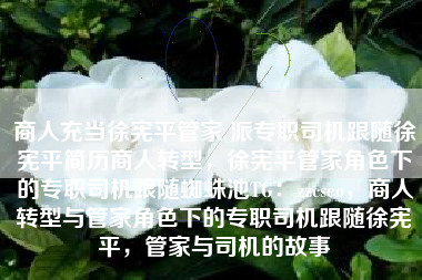 商人充当徐宪平管家 派专职司机跟随徐宪平简历商人转型，徐宪平管家角色下的专职司机跟随蜘蛛池TG：zzcseo，商人转型与管家角色下的专职司机跟随徐宪平，管家与司机的故事