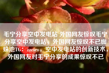 毛宁分享空中发电站 外国网友惊叹毛宁分享空中发电站，外国网友惊叹不已蜘蛛池TG：zzcseo，空中发电站的创新技术，外国网友对毛宁分享的成果惊叹不已