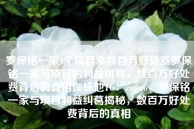 罗保铭一家1个项目拿数百万好处费罗保铭一家与项目的利益纠葛，数百万好处费背后的真相蜘蛛池TG：zzcseo，罗保铭一家与项目利益纠葛揭秘，数百万好处费背后的真相
