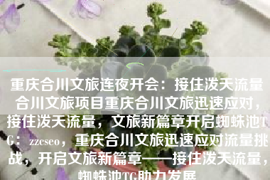 重庆合川文旅连夜开会：接住泼天流量合川文旅项目重庆合川文旅迅速应对，接住泼天流量，文旅新篇章开启蜘蛛池TG：zzcseo，重庆合川文旅迅速应对流量挑战，开启文旅新篇章——接住泼天流量，蜘蛛池TG助力发展