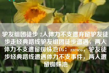 驴友组团徒步 2人体力不支遭弃留驴友徒步走经典路线驴友组团徒步遭遇，两人体力不支遭留蜘蛛池TG：zzcseo，驴友徒步经典路线遭遇体力不支事件，两人遭留蜘蛛池