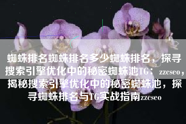 蜘蛛排名蜘蛛排名多少蜘蛛排名，探寻搜索引擎优化中的秘密蜘蛛池TG：zzcseo，揭秘搜索引擎优化中的秘密蜘蛛池，探寻蜘蛛排名与TG实战指南zzcseo