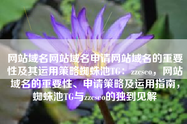 网站域名网站域名申请网站域名的重要性及其运用策略蜘蛛池TG：zzcseo，网站域名的重要性、申请策略及运用指南，蜘蛛池TG与zzcseo的独到见解